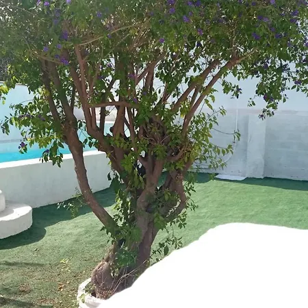 Buganvillas, Relax Con Piscina Privada A Pocos Minutos De La Barrosa Y Santi Petri